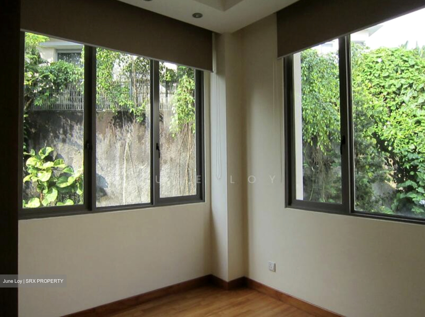 Dunearn Road (D11), Condominium #631465441